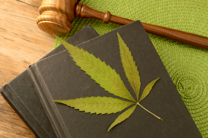 minnesota marijuana law